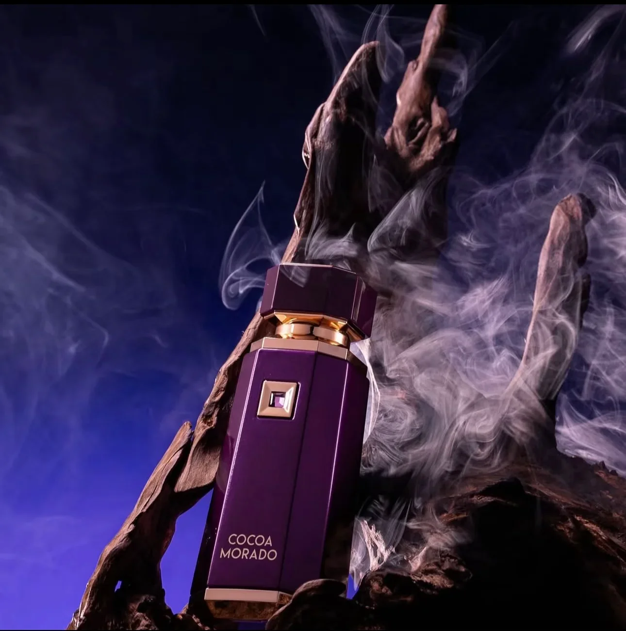 Cocoa Morado 100ml EDP By French Avenue