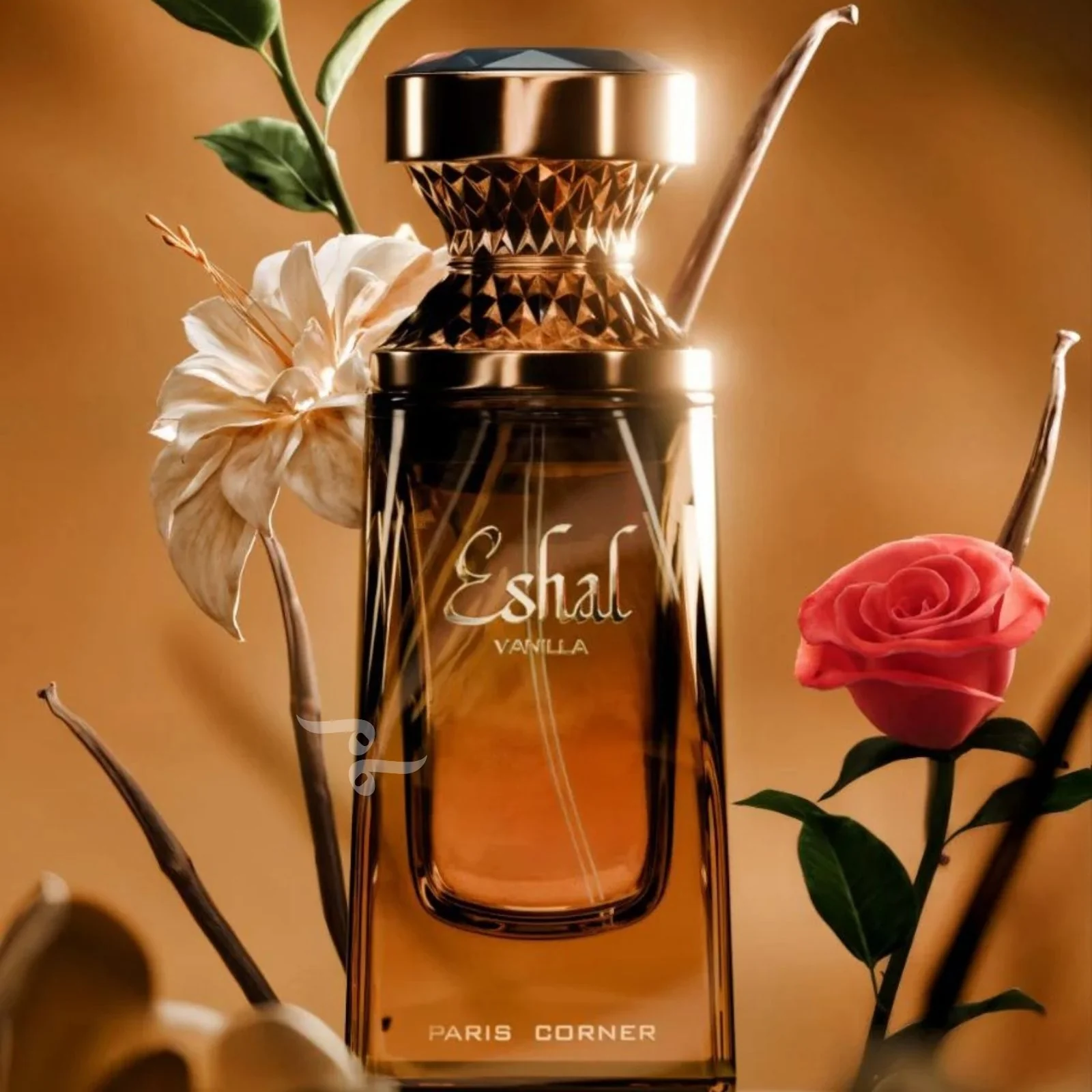 Eshal Vanilla 100ml EDP By Paris Corner - Image 2