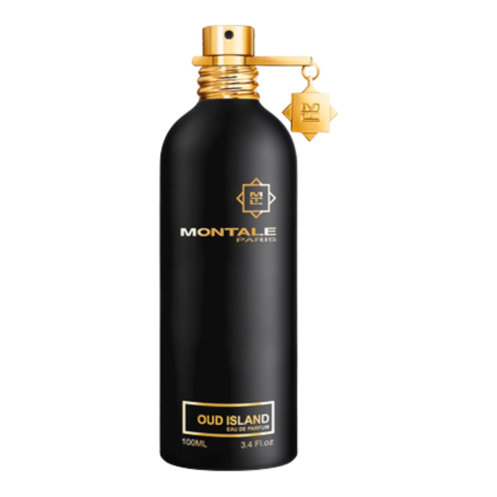 100ml Oud Island EDP By Montale