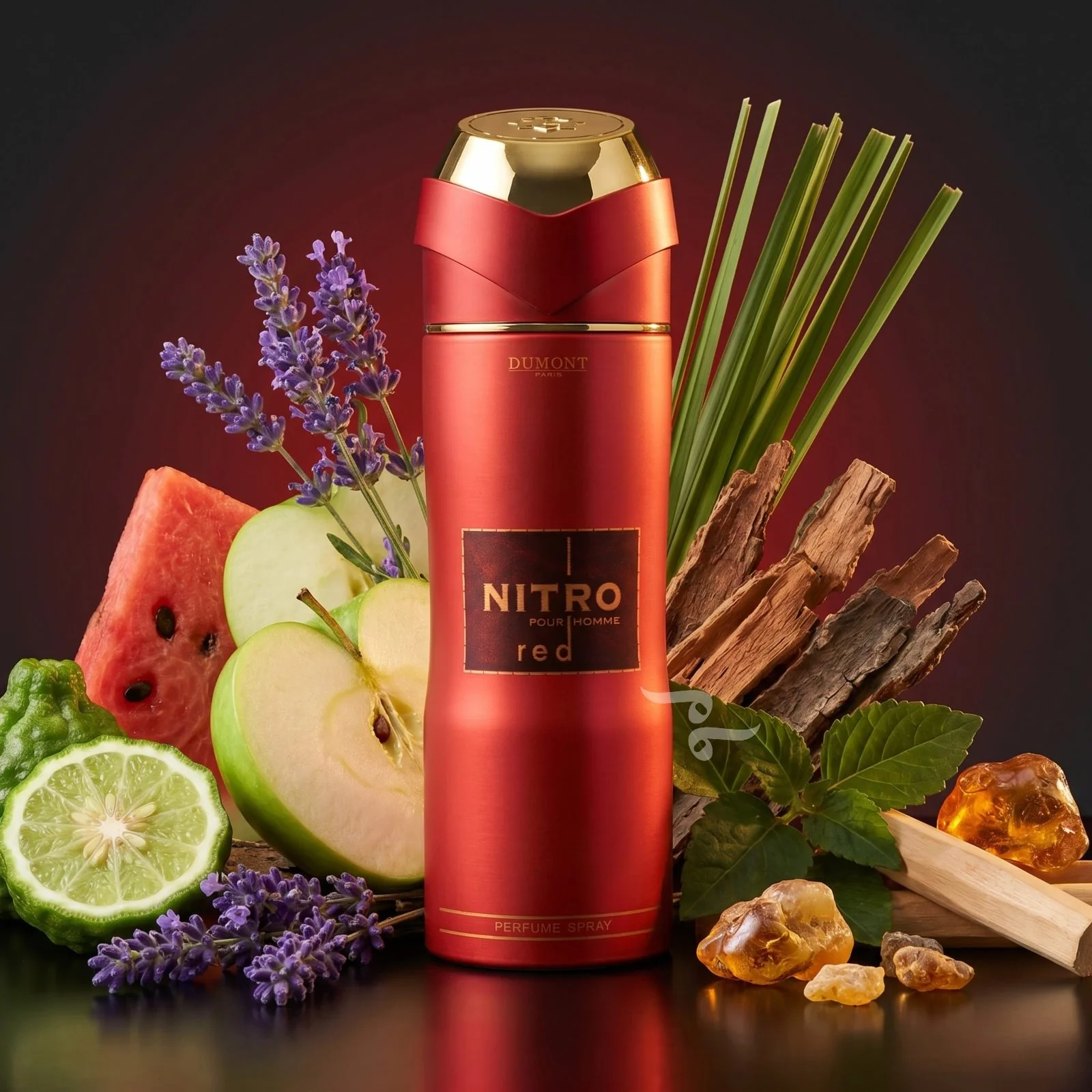 NINITRO RED PERFUME SPRAY 200ml by Dumont